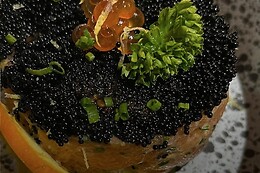 Masaaki Sushi Art