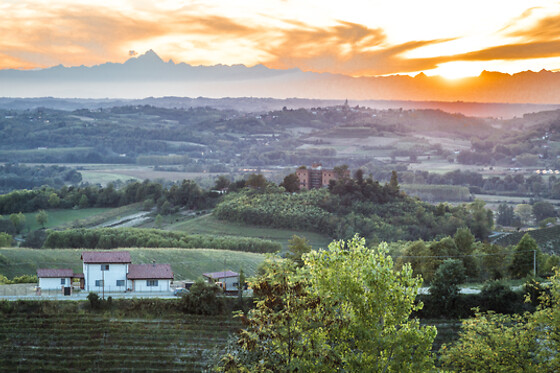 B&B Il Grappolo - photo 1