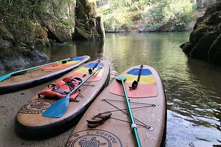 Passeio de stand up paddle pelo rio Paiva para 1 com a Supbuddypt em Souselo (Viseu)