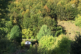 CAMPING EL CARES