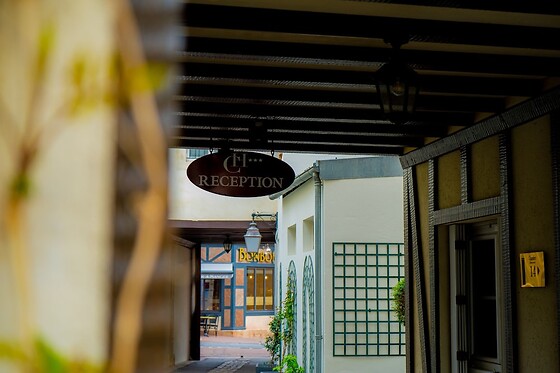Online Booking EPS - photo 1
