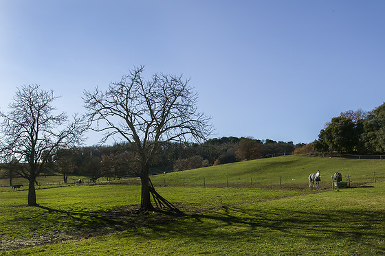 Domaine de la Trille - photo 12