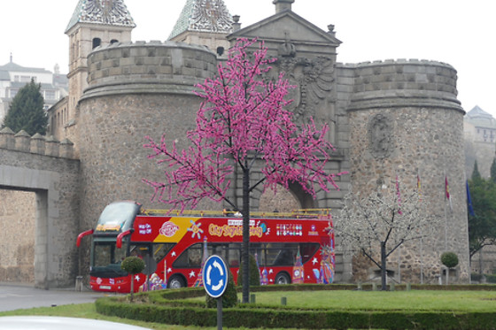 CITY SIGHTSEEING TOLEDO - photo 1
