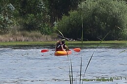 Nautispot