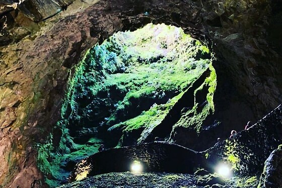 Azores Nature Tours - photo 8