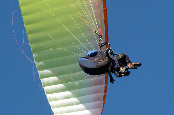 PARAPENTALIA - photo 1