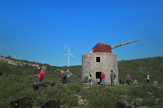 Terra Chã - photo 12
