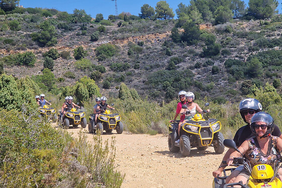 QUAD UNIVERSE - photo 8