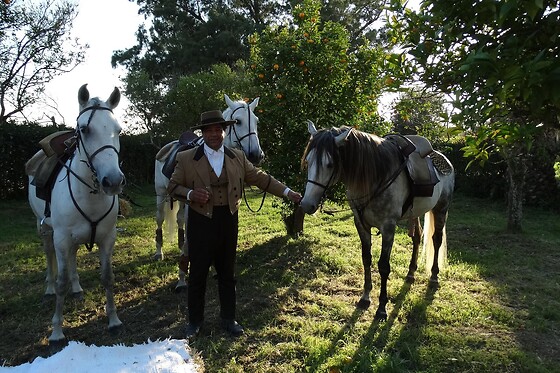 Experiência Equestre: Batismo a Cavalo para 1 | Coudelaria Rita Cotrim, Golegã (Santarém)