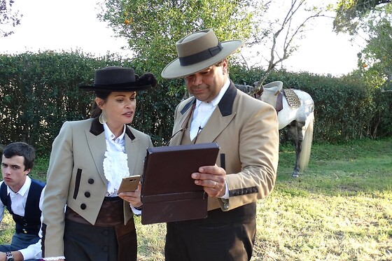 Experiência Equestre: Batismo a Cavalo para 1 | Coudelaria Rita Cotrim, Golegã (Santarém)