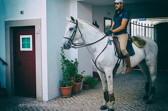 Experiência Equestre: Batismo a Cavalo para 1 | Coudelaria Rita Cotrim, Golegã (Santarém)