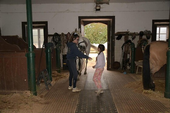 Experiência Equestre: Batismo a Cavalo para 1 | Coudelaria Rita Cotrim, Golegã (Santarém)