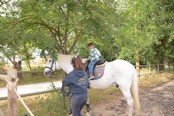 Experiência Equestre: Batismo a Cavalo para 1 | Coudelaria Rita Cotrim, Golegã (Santarém)