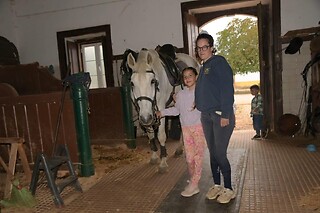 Experiência Equestre: Batismo a Cavalo para 1 | Coudelaria Rita Cotrim, Golegã (Santarém)