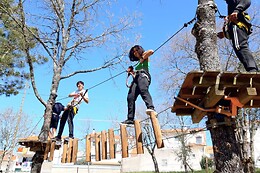 Expertree Park