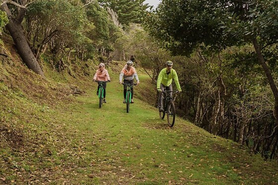 Green Generation - photo 10