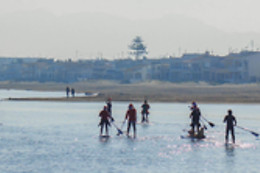 HOTEL PLAYA OLIVA