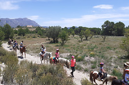 ALICANTE HÍPICA MAIGMO