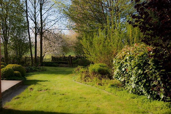 B&B Goudsbloempje - photo 4