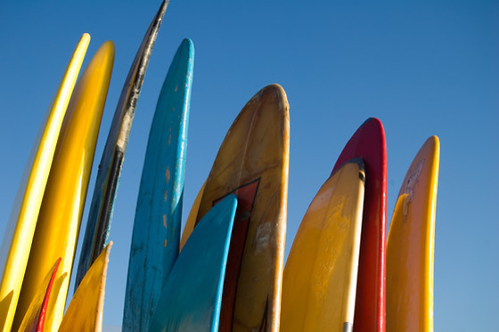 ESCOLA CATALANA DE SURF - photo 4