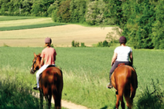 Passeio a cavalo para 2 |  Quinta do Fijó em Viana do Castelo
