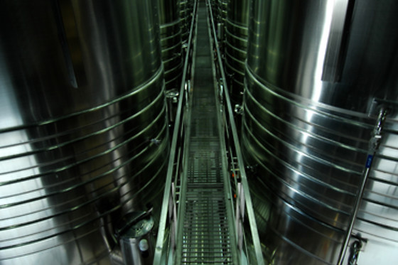 BODEGAS LAUS - photo 3