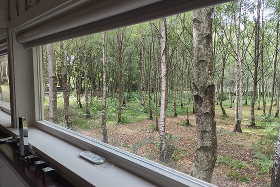 CABANAS DA ULLA - photo 23