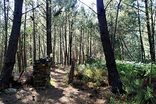 Caminhada com GPS para 2 | Rota by EntreSocalcos, 4h | Loriga (Guarda)