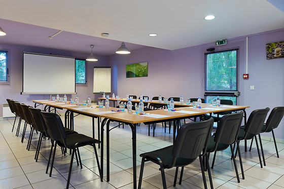 Ibis Budget Chilly Mazarin - photo 15
