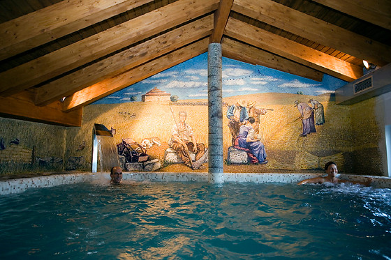 POSADA LOS CONDESTABLES HOTEL & SPA - photo 4