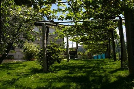 LAGAR DE BESADA - photo 0