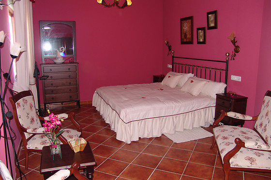 HOTEL MESON FUENTE EL PINO - photo 6