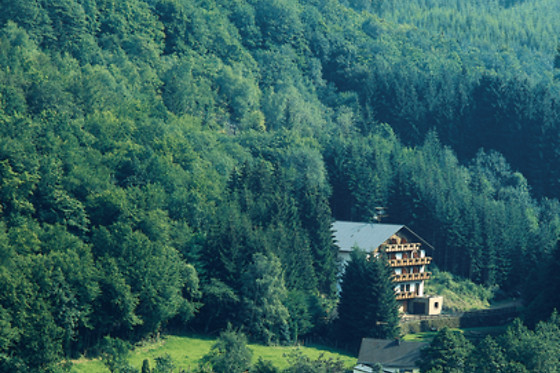 Wolffhotel - photo 2