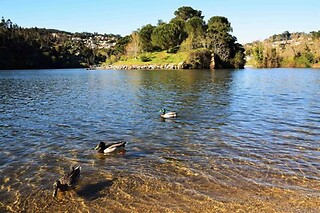 Passeio de Jipe 4x4 -  Rota dos Amores| Para grupo até 4 - 4h | Corga Tours - Arouca