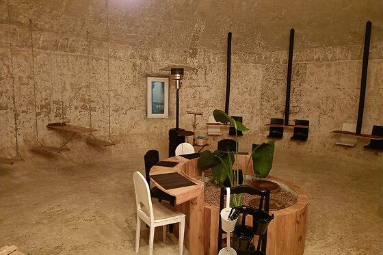 Uma noite em Bungalow 