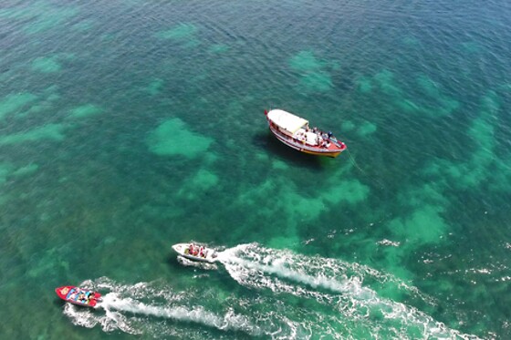 Passeio de barco às grutas da Ponta da Piedade para 2 com a Boatrips | Lagos (Faro)