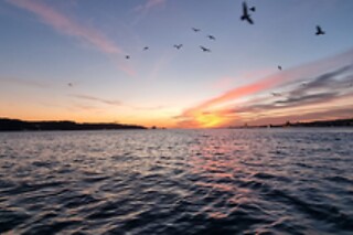 Passeio "Lisbon Champagne Tour" para 2 | Bubble Sea Events em Lisboa