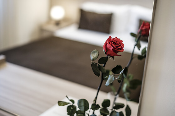 Hotel Villa Lalla - photo 6