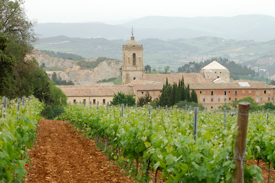 BODEGAS PAGO DE LARRAINZAR - photo 1