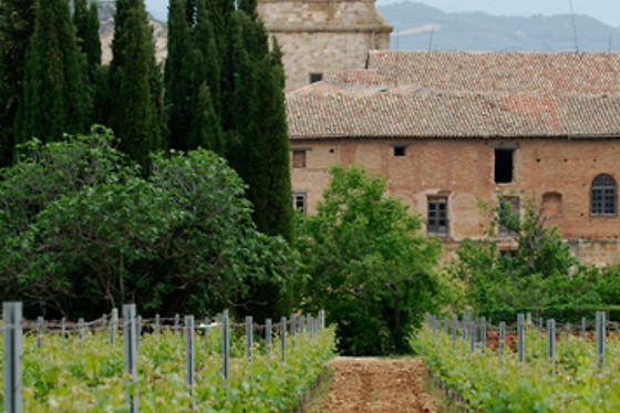 BODEGAS PAGO DE LARRAINZAR - photo 5