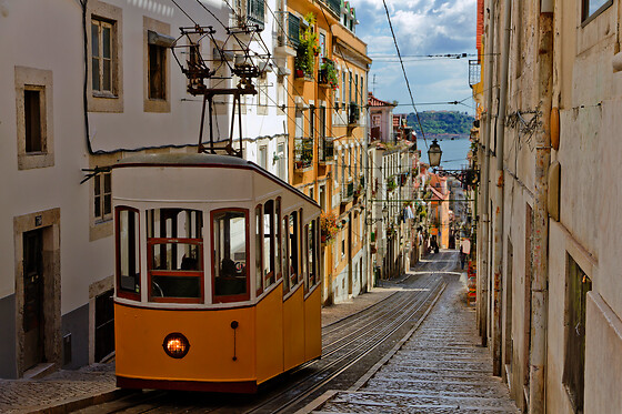 Viver Lisboa