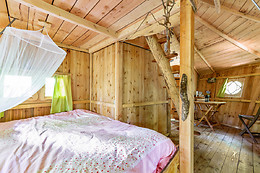 L'Arbre à Cabane