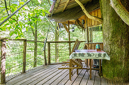 L'Arbre à Cabane
