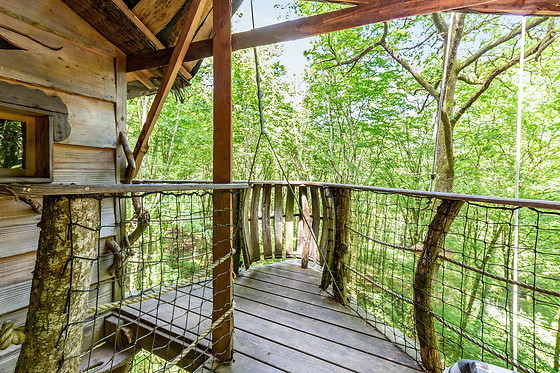 L'Arbre à Cabane - photo 15