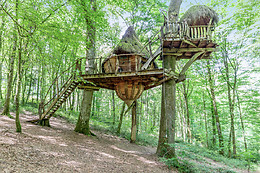 L'Arbre à Cabane
