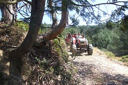Vumba Agroturismo