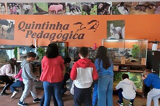 Aula de equitação com póneis para 1 em Quintinha Pedagógica de Canelas em Vila Nova de Gaia (Porto)