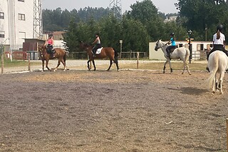 Aula de equitação com póneis para 1 em Quintinha Pedagógica de Canelas em Vila Nova de Gaia (Porto)