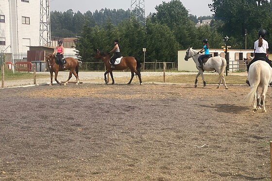 Aula de equitação com póneis para 1 em Quintinha Pedagógica de Canelas em Vila Nova de Gaia (Porto)