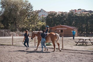 Aula de equitação com póneis para 1 em Quintinha Pedagógica de Canelas em Vila Nova de Gaia (Porto)